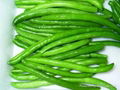 frozen green bean cuts 2