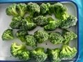 冷凍綠菜花