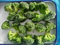 Frozen broccoli 1