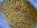 Frozen Sweet Corn  1