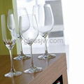 Wine glass,Goblet,Wine Cup 2