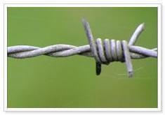 barbed wire