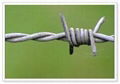 barbed wire