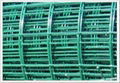 Welded Wire Mesh