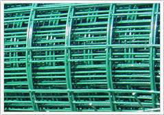 Welded Wire Mesh 