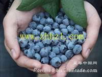 Fumet Organic Fruit Wine    Blueberry Castle