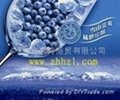 Meirensong Organic Blueberry Wine