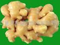 Supercritical ginger oil