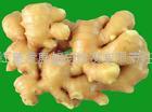 Supercritical ginger oil