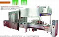 amouple injection washing sterilizing,filling,sealing line