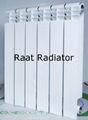 Aluminum Profile Radiator