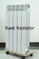 Aliminum Profile Radiator