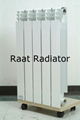 Aluminum Profile Radiator 1