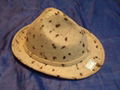 Fashional Hat