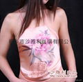 High-end hand-painted silk Dudou 5