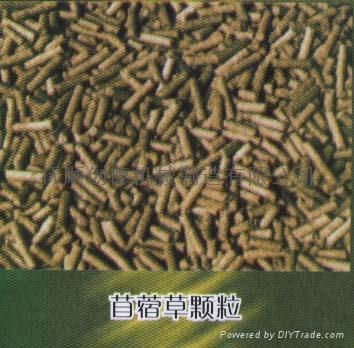  Alfalfa pellet/powder/hay 3