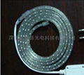 LED Flexible strip 110V-220V 2