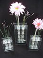 Glass Vase of New Styles 