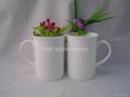 Bone china coffee cup and mug