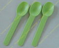 Biodegradable spoon 1