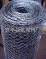 Hexagonal wire mesh  3