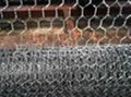 Hexagonal wire mesh  4