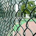 Chain  link  fence  1