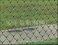 Chain  link  fence  2