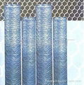 Hexagonal wire mesh  3