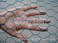 Hexagonal wire mesh 