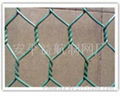 Hexagonal wire mesh  2