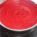 tomato paste 1