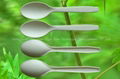 Disposable Spoon (HHS-01)