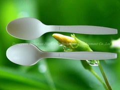 Disposable Spoon (HHS-02)