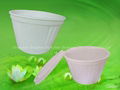 Biodegradable Noodle Bowl (HHW-07) 1