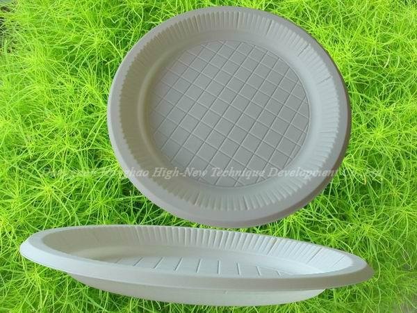 Biodegradable Plate(HR-01)