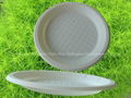 Biodegradable Plate(HR-01)