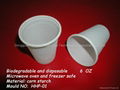 Disposable Cup (HHP-03) 2