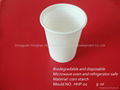 Disposable Cup (HHP-03) 3