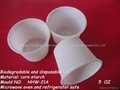 Disposable Cup (HHP-03) 5