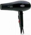 Professional Hair Dryer  1