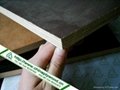 Anti-slip Filmfaced Plywood 4