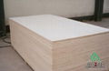 Commercial Plywood 3