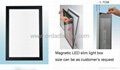Magnetic slim light box