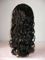 human hair wigs/full lace wigs/lace