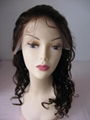 human hair wigs/full lace wigs/lace front wigs 2