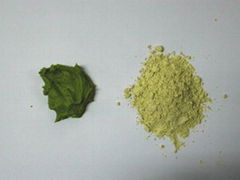 wasabi powder