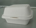 Disposable tableware 3