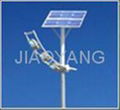 solar street light 1