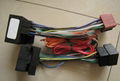 car wire harness 1